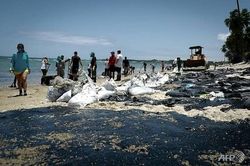 Dân Brazil chạy đua với thời gian cứu các bãi biển trước mùa du lịch