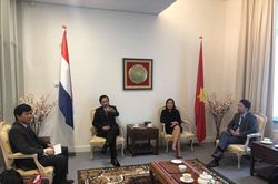Lãnh đạo và doanh nghiệp tỉnh Quảng Trị thăm và làm việc tại Hà Lan