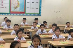 Vì sao học sinh lớp 2 đã phải học thống kê, xác suất?