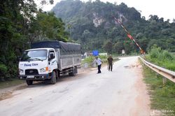 Dịch tả lợn châu Phi đang 'giảm nhiệt'