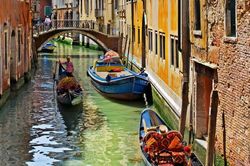 Người chèo thuyền gondola ở Venice chung tay làm sạch lòng kênh