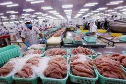 Hoa Kỳ công nhận hệ thống kiểm soát an toàn thực phẩm cá da trơn của Việt Nam