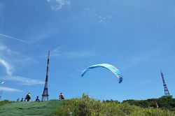 Đà Nẵng: Lên Sơn Trà phải đeo thẻ