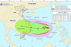 Bão số 6 di chuyển dị thường, dự kiến đi vào vùng biển từ Quảng Ngãi đến Ninh Thuận