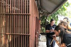 Tổ chức động vật châu Á tiếp nhận một cá thể gấu ngựa