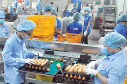 Tập trung lo hàng tết