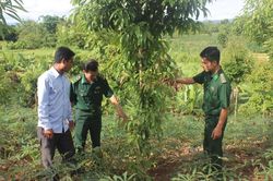 Miền đất của tình đoàn kết