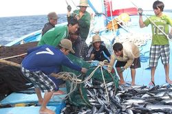 Phải gỡ 'thẻ vàng' IUU vì danh dự quốc gia
