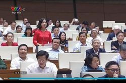 Quốc hội chất vấn Bộ trưởng NN&PTNT Nguyễn Xuân Cường