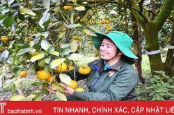 Người nông dân Hà Tĩnh 'hồi sinh vùng đất chết'