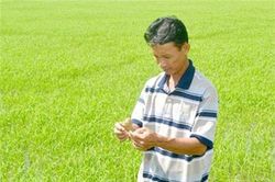 Hậu Giang: Vị giám đốc giúp thành viên đi lên từ HTX