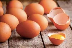 Tử vong vì cá cược ăn 50 quả trứng