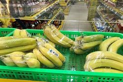 Hoàng Anh Gia Lai Agrico báo lỗ gần nghìn tỷ