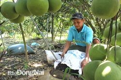 Tỷ phú '9X' làm nông nghiệp sạch