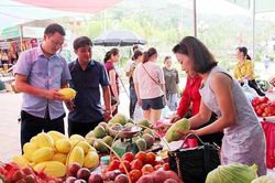 HTX Hưng Thịnh mở rộng liên kết, phát triển sản xuất bền vững