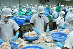 Lo doanh nghiệp Việt 'chết trên sân nhà' vì hàng nước ngoài 'đội lốt'