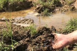 Xử lý sự cố nước sông Đà bị nhiễm bẩn: 'Động tác lạ' của Viwasupco