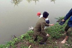 Hà Tĩnh: Phát hiện thi thể người đàn ông nổi bên mương nước