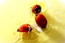 Công bố kiểm tra chuỗi cung ứng bốn công ty thực phẩm lớn
