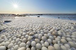 Bờ biển xuất hiện trứng băng kỳ lạ ở Phần Lan