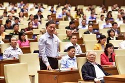 Không có chuyện cản trở hoặc không phát triển thông tin mạng ở Việt Nam