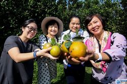 Trải nghiệm làm vườn của Nhóm Phụ nữ Cộng đồng ASEAN tại Hà Nội