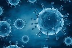 Phát hiện chủng virus HIV mới tại Cộng hòa Dân chủ Congo