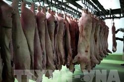 Trung Quốc khan hiếm thịt lợn, cơ hội của các nhà xuất khẩu thế giới