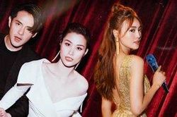 Với 33% lượt bầu chọn, Ninh Dương Lan Ngọc là nghệ sĩ được độc giả mong muốn trình diễn tại đám cưới Đông Nhi - Ông Cao Thắng nhiều nhất
