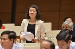 Chính phủ điện tử có giảm bớt phiền hà cho dân?