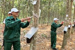 Cải thiện điều kiện, môi trường làm việc cho người lao động