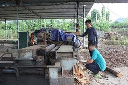 HTX Tâm Tín sản xuất hiệu quả, bền vững