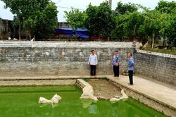 Tổ hợp tác của những người lính năm xưa