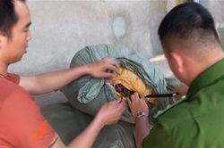 Thu 20 tấn nghi là nguyên dược liệu thuốc bắc nhập lậu từ Trung Quốc
