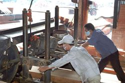Hà Nội có 2.899 cơ sở kinh doanh chế biến gỗ