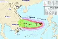 Vì sao bão số 6 có diễn biến khó lường với đường đi dị thường?