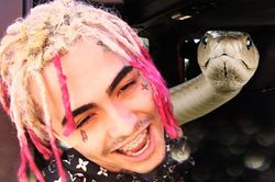 Rapper 'Gucci Gang' bị rắn cắn khi quay MV