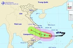 Dự báo: Bão số 6 đi vào đất liền các tỉnh từ Quảng Ngãi đến Khánh Hòa với sức gió mạnh cấp 8-9, giật cấp 11