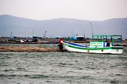'Thủ phủ' thủy sản Sông Cầu báo động trước cơn bão số 6