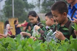 Tạo hứng khởi cho trò sáng tạo