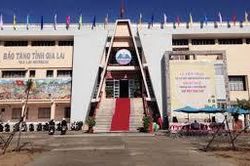 Bảo tàng tỉnh Gia Lai mời tham gia phục chế hiện vật Anh hùng Núp