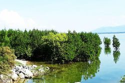 Đánh giá tác động của biến đổi khí hậu
