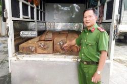 Gỗ lậu về xuôi