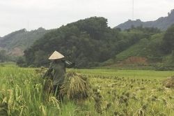 UBND huyện Yên Lập: Tín hiệu tích cực từ công tác dồn đổi đất nông nghiệp