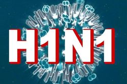 Kon Tum: Một ni cô tử vong do cúm A/H1N1
