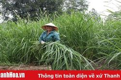 Huyện Hà Trung giải quyết việc làm mới cho 3.165 lao động