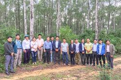 Tập huấn kĩ thuật trồng rừng thâm canh gỗ lớn