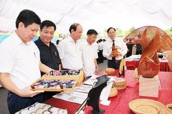 Triển khai Chương trình mỗi xã một sản phẩm: Hà Nội nỗ lực dẫn đầu cả nước