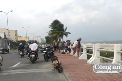 Cần thủ 'chiếm' cầu