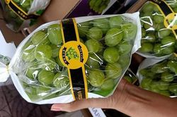 Bốn loại quả Tàu đội lốt hàng Tây, tin lời dân buôn ăn cú hớ nặng